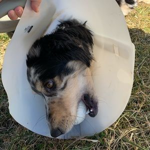 Meet your Posher, Madelynne